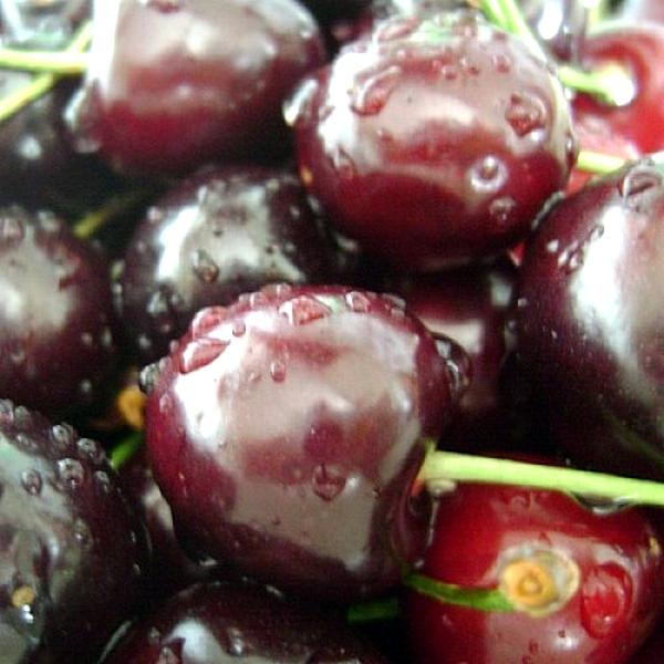 Россошанская крупная1